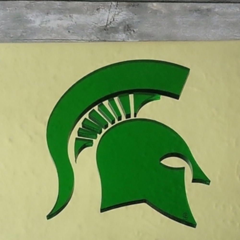 Michigan StAte University MSU- License Plate NWOT